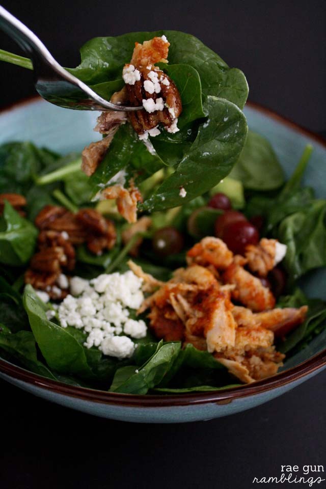 Maple Pecan Salad Recipe - Rae Gun Ramblings