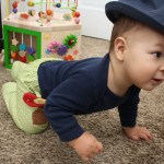 How cute are these pants the attached bird can hide in the pocket and slide out - Rae Gun Ramblings.com