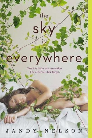 the sky is everywhere