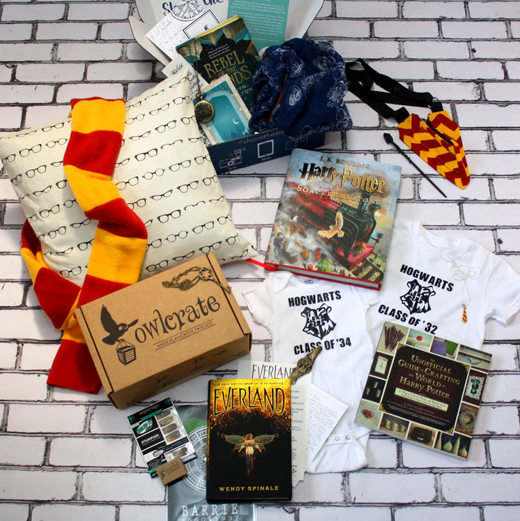 Harry Potter everything. Great book nerd gifts and book swag.