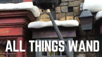 Do I Need an Interactive Harry Potter Wand?