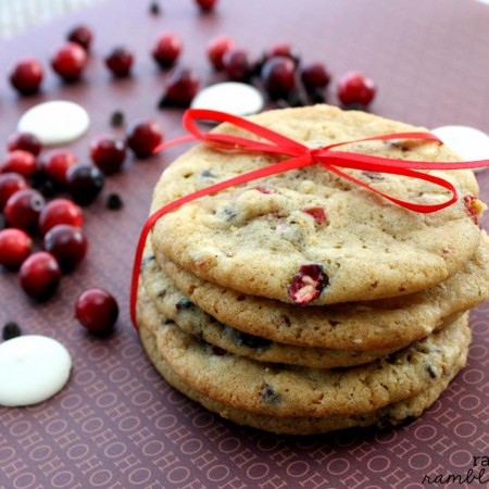 Cranberry Chocolate Chip Cookies