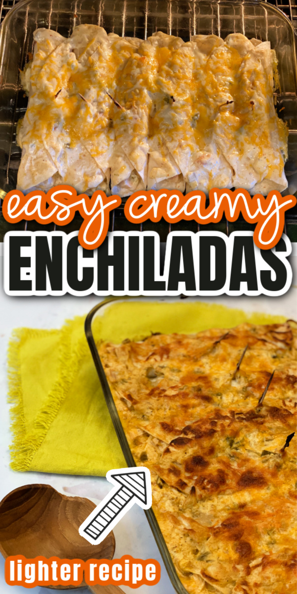 enchiladas in oven and pan