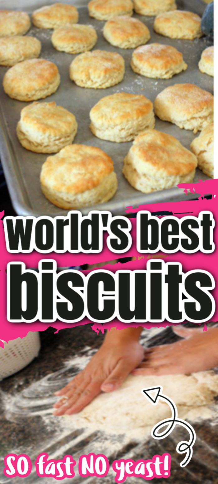 It's a keeper! This turns out great every time. Best quick biscuits recipe no yeast needed.