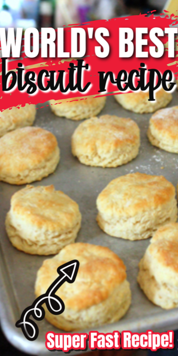 It's a keeper! This turns out great every time. Best quick biscuits recipe no yeast needed.