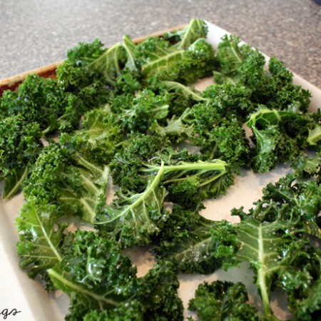 Sea salt and Taco Kale Chip recipes and storage tips - Rae Gun Ramblings