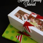 mini holiday bunting tutorial - Rae Gun Ramblings