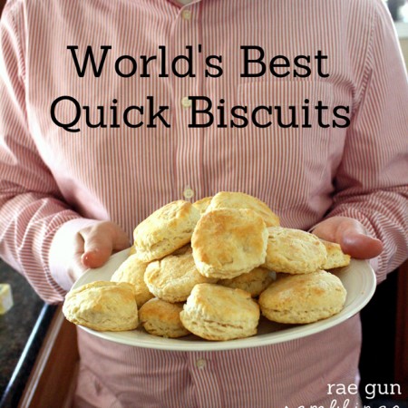best quick biscuit recipe at Rae Gun Ramblings