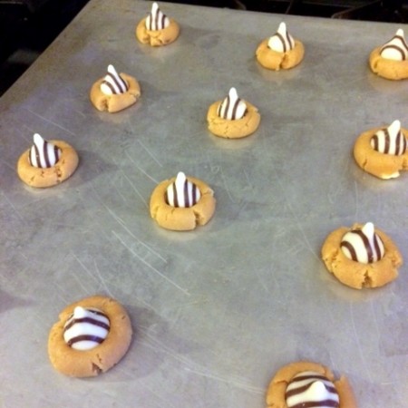 Yummiest easy cookies. Zebra cookies recipe a fun spin on the peanut butter kiss blossom at Rae Gun Ramblings