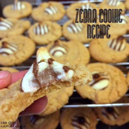 Zebra Cookies Recipe. This is one of my absolute favorite cookie recipes - Rae Gun Ramblings