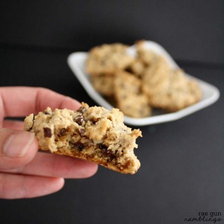 You won't believe this delicious chocolate chip cookie recipe also helps nursing moms boost their milk supply - Rae Gun Ramblings
