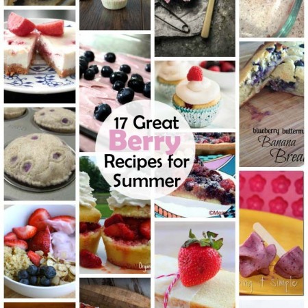 Great collection of berry recipes perfect for the Summer - Rae Gun Ramblings