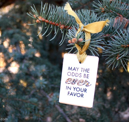 May the Odds Be Ever In Your Favor Ornament Tutorial. GO Hunger Games - Rae Gun Ramblings