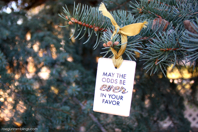 May the Odds Be Ever In Your Favor Ornament Tutorial. GO Hunger Games - Rae Gun Ramblings