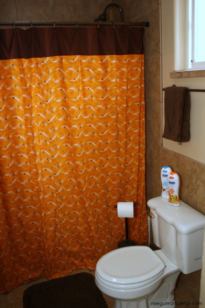 30 Minute Shower Curtain Tutorial With Softsoap Fresh And Glow