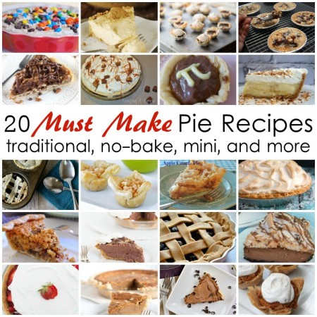 Great list of pie recipes. They all look so good. Perfect for THanksgiving, Christmas, and Pi day