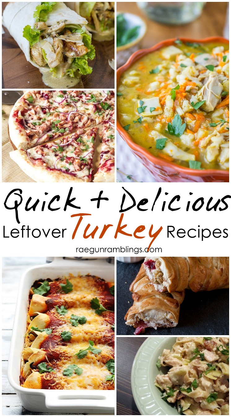 20+ EASY Leftover Turkey Recipes - Rae Gun Ramblings
