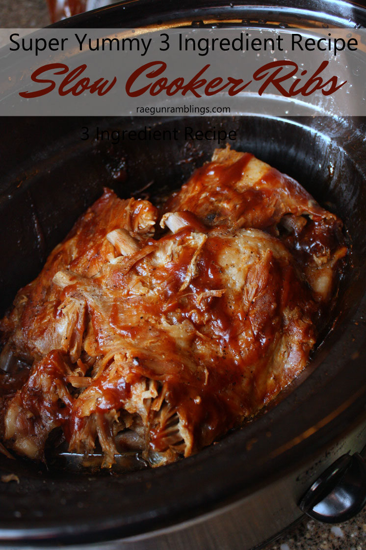 3 Ingredient Crock Pot Ribs Recipe - Rae Gun Ramblings