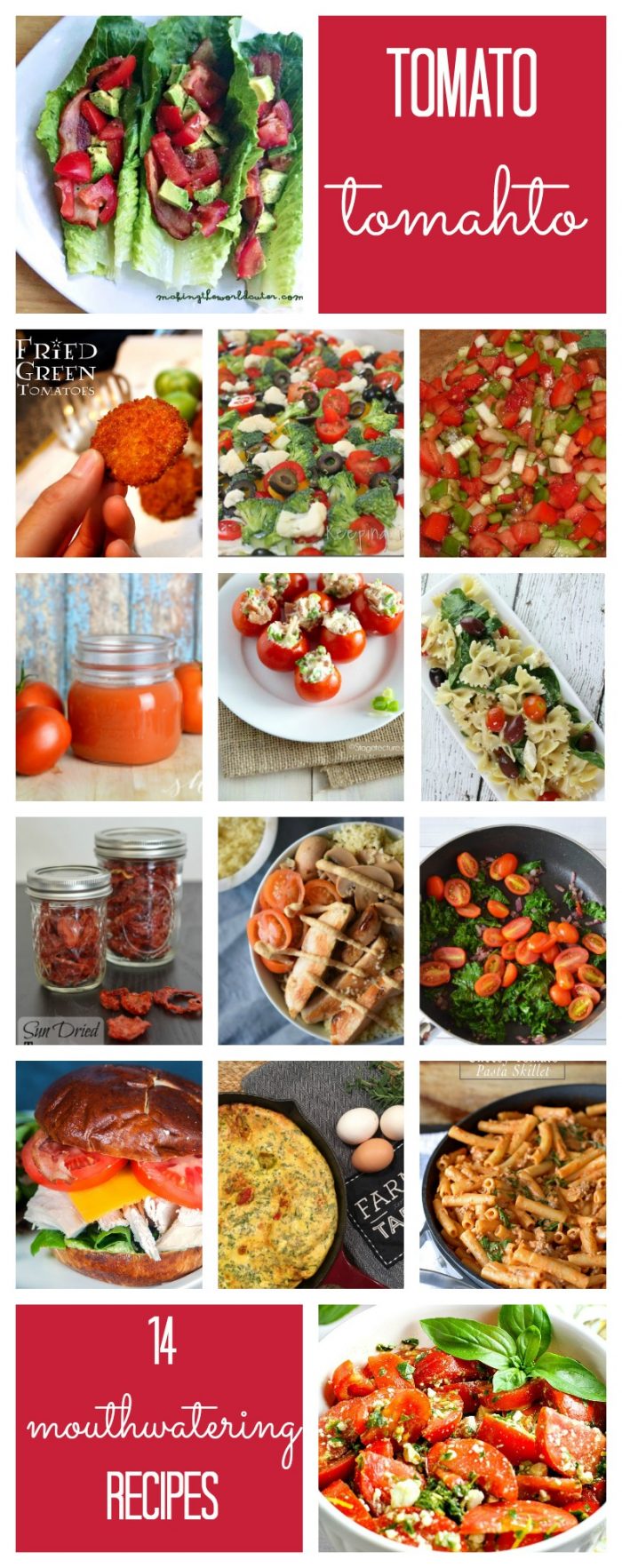 14 Mouthwatering Tomato Recipes - Rae Gun Ramblings