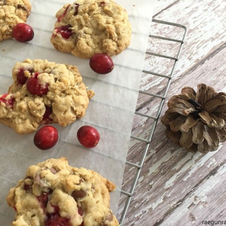 delicious breakfast cookies. Oatmeal chocolate chip cranberry cookie recipe