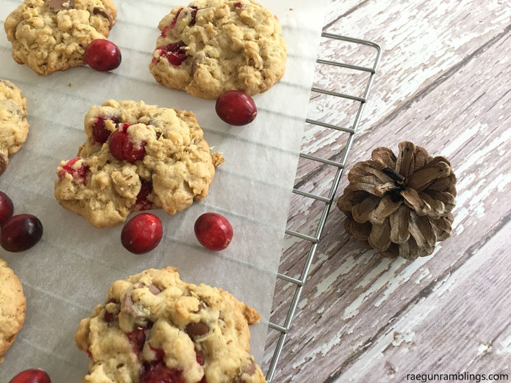 delicious breakfast cookies. Oatmeal chocolate chip cranberry cookie recipe