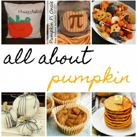 pumpkin crafts recipes and home decor perfect for all fall holidays