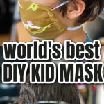 Pinterest Hidden Image