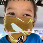 Pinterest Hidden Image