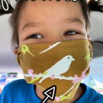 Pinterest Hidden Image