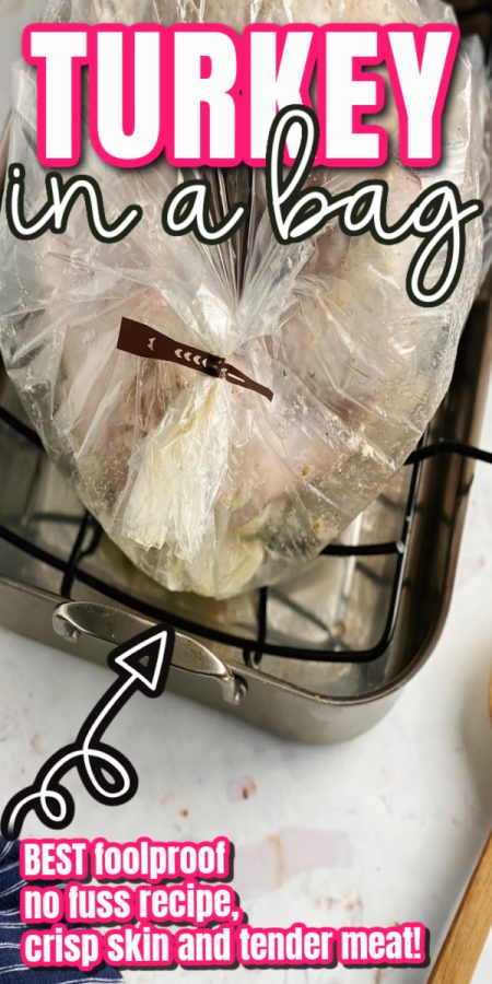 turkey in an oven bag on a roasting pan