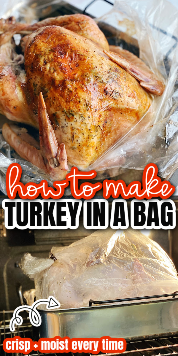 How to Cook Turkey in a Bag - Rae Gun Ramblings
