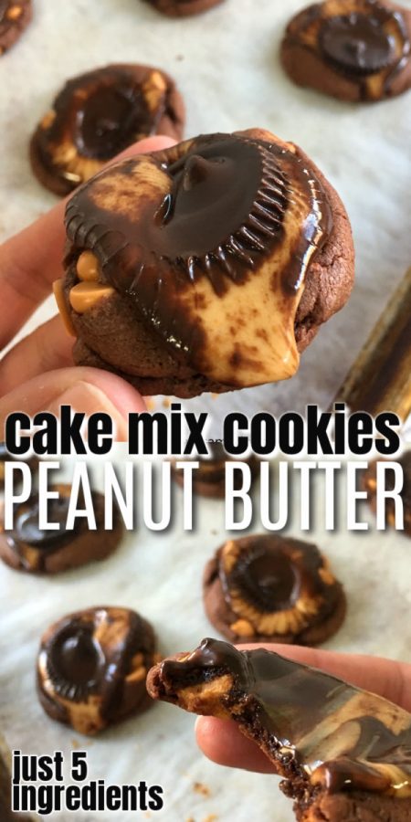 chocolate peanut butter cup cookie