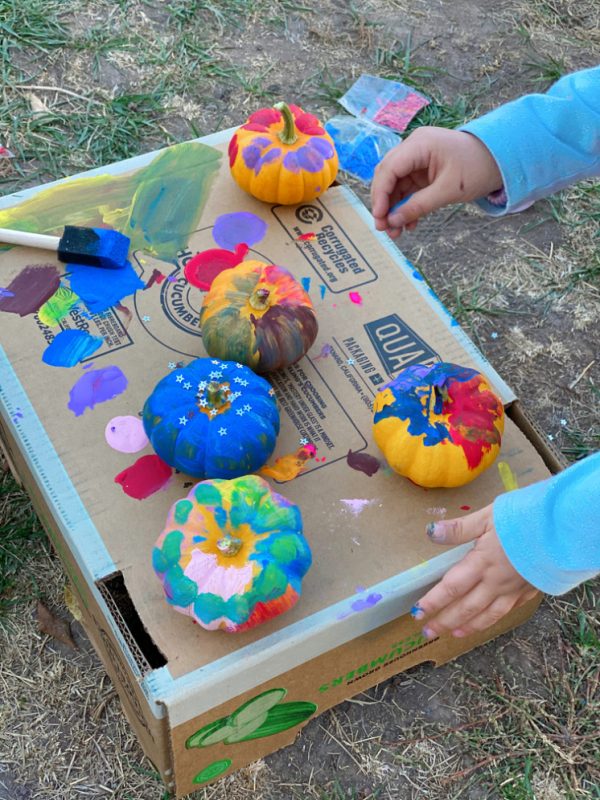 mini pumpkins painted on a box